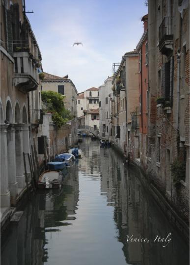 Venice Canal 1