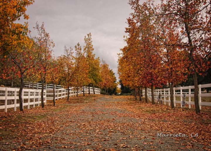 Murrietta, CA Fall