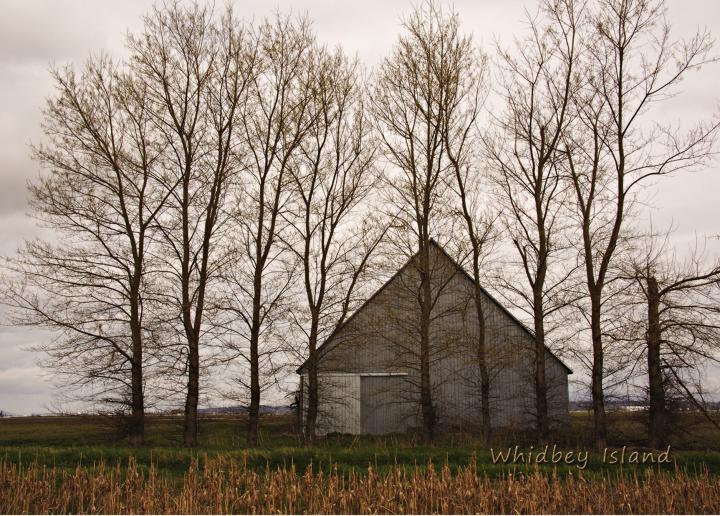 Whidbey Island Barn